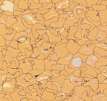 Кварцвиниловые полы Forbo Colorex SD 150219 фото 1 | FLOORDEALER